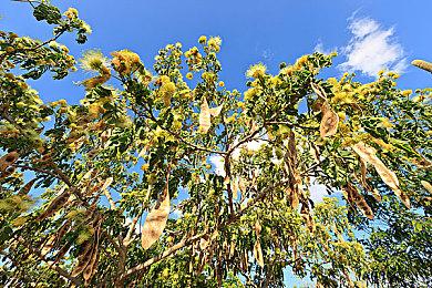 PlayStation日本宣布将举办三场直播活动 预热即将发售的游戏