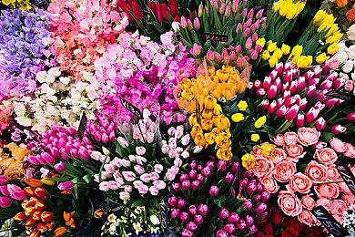 《方舟：生存进化》DLC宣传片使用AI 引起粉丝怒火